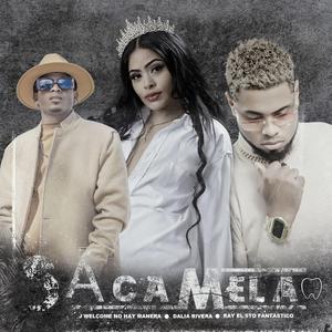 Sacamela (feat. Dalia Rivera)