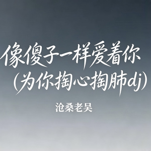 像傻子一样爱着你(为你掏心掏肺dj)