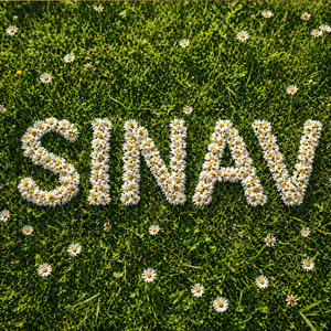 Sınav