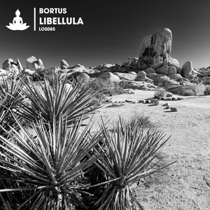 Libellula (Extended Mix)