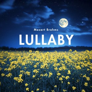 疲れを包むやすらぎの夕暮れ (川)