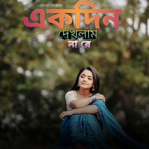 একদিন দেখলাম না রে