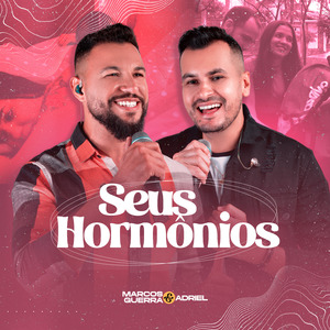 Seus Hormônios