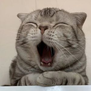 执笔·蔚蓝(prod.DRP project)