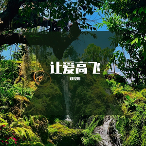 让爱高飞