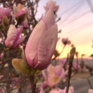 Testin' (2022) (Demo)