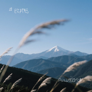 风从山那边吹来