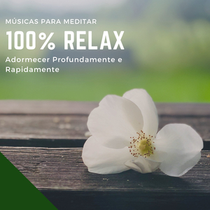 Adormecendo