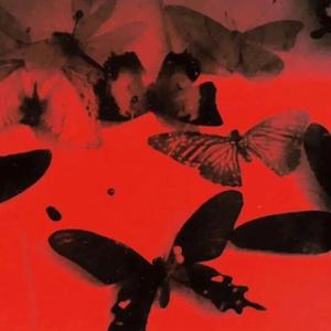 Shine (Prod ZS beatz)