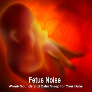 Womb Sounds and Calm Sleep for Your Baby - Loopable
