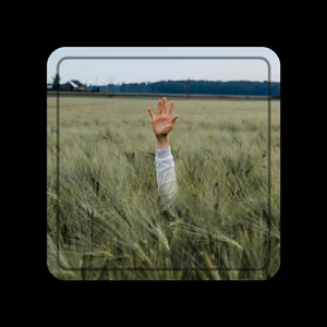 "Snow" Pop Type Beat