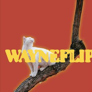 WayneFlip