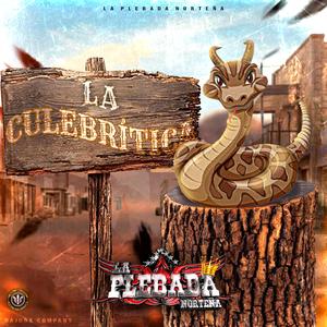 La Culebrítica V Studio