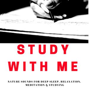 Study With Me - | A Real Time Study Session (without music) - For Studying & Focusing