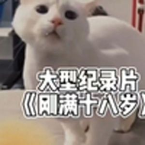 大型纪录片之《我刚满18岁》