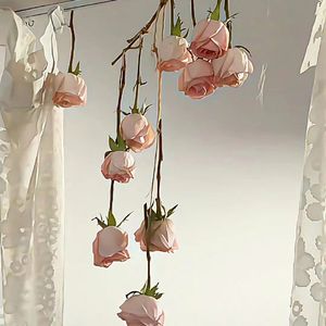 遇见你的时候所有星星都落到我头上