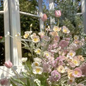 桂花雨淋湿了几页从前