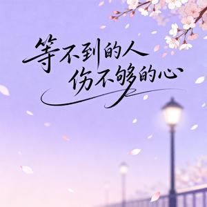 等不到的人伤不够的心