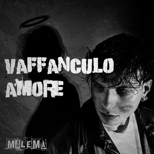 Vaffanculo Amore
