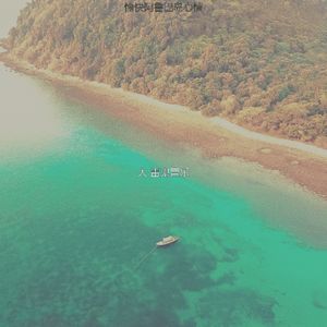 微妙的巴哈马心情