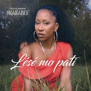 Lésé mo pati