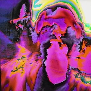 Decreto 111 222 333 444 555 666 777 888 999 369