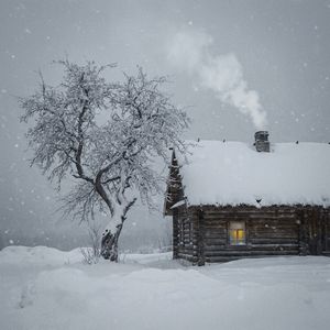 Клён ты мой опавший