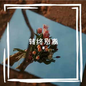 循环之旅