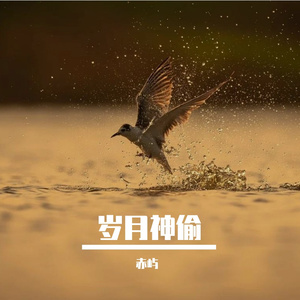 岁月神偷