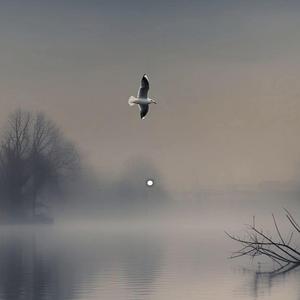 Swappacoochi Tribe BoomBap (Hip-Hop Burlesque)