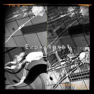 Experiment