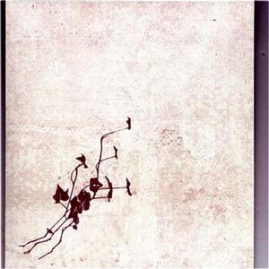 All My Blessings are a Curse