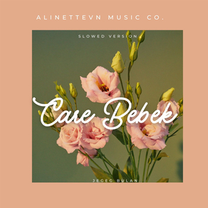 Care Bebek - Slowed Version