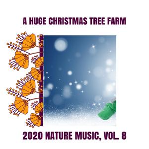 Assymetrical Ripples