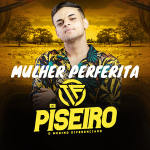 Mulher Perfeita