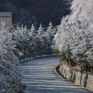 《冬·零點慢車》