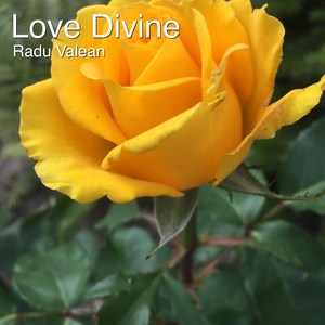 Love Divine