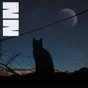 Katzen