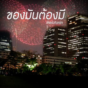 ของมันต้องมี