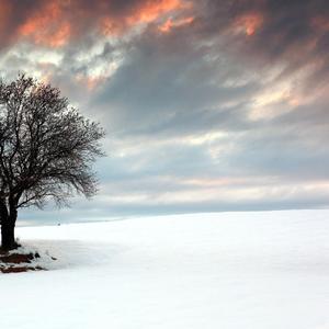 回忆起来的伤痛