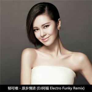 郁可唯-原乡情浓 (DJ阿福 Electro Funky Remix)（DJ阿福 (DJ-Afu) remix）
