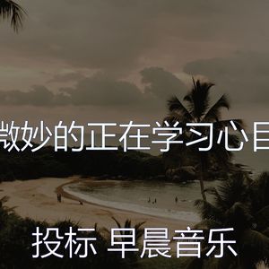 微妙的正在学习心情