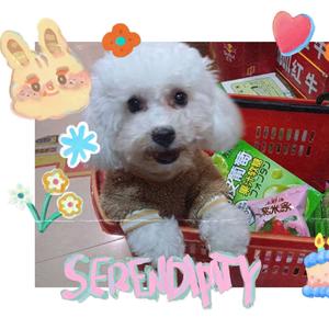 你笑起来比乌梅子酱还甜