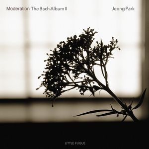 Johann Sebastian Bach:Sarabande from Flute Partita in A minor, BWV1013