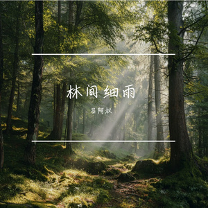 林间细雨