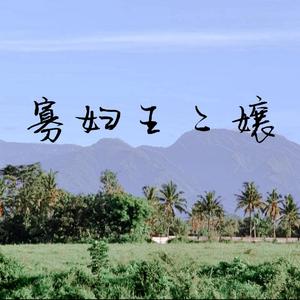 江辰-寡妇王二孃(Remix)