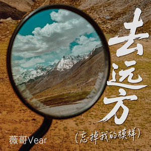 去远方(忘掉我的模样) (伴奏)