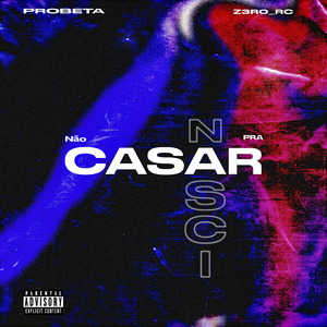 Não Nasci pra Casar