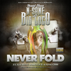 N-Sane - Never Fold