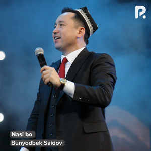 Nasi bo